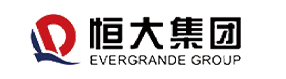 合作伙伴五